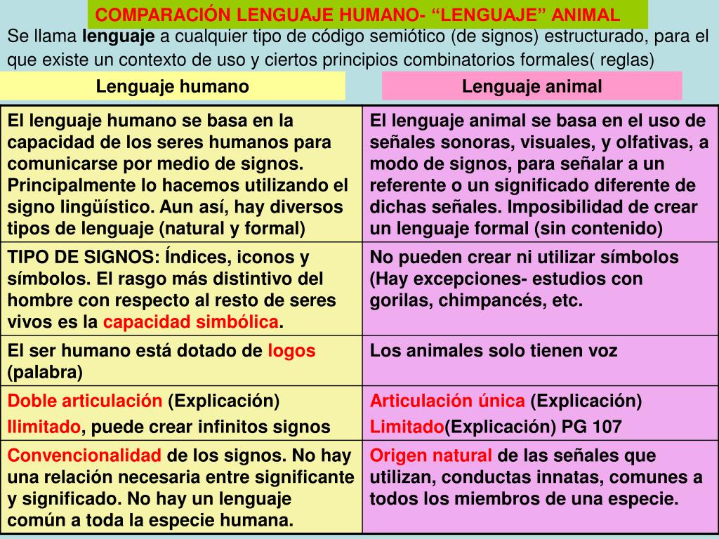 PPT - LAS RELACIONES SIMBÓLICAS DEL SER HUMANO PowerPoint Presentation