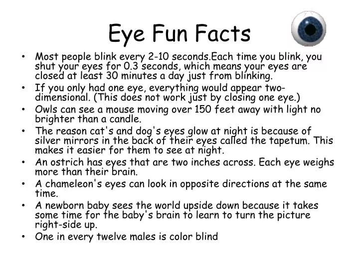 eye fun facts n.