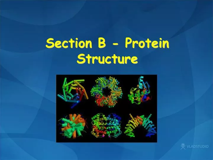 PPT - Section B - Protein Structure PowerPoint Presentation, Free ...