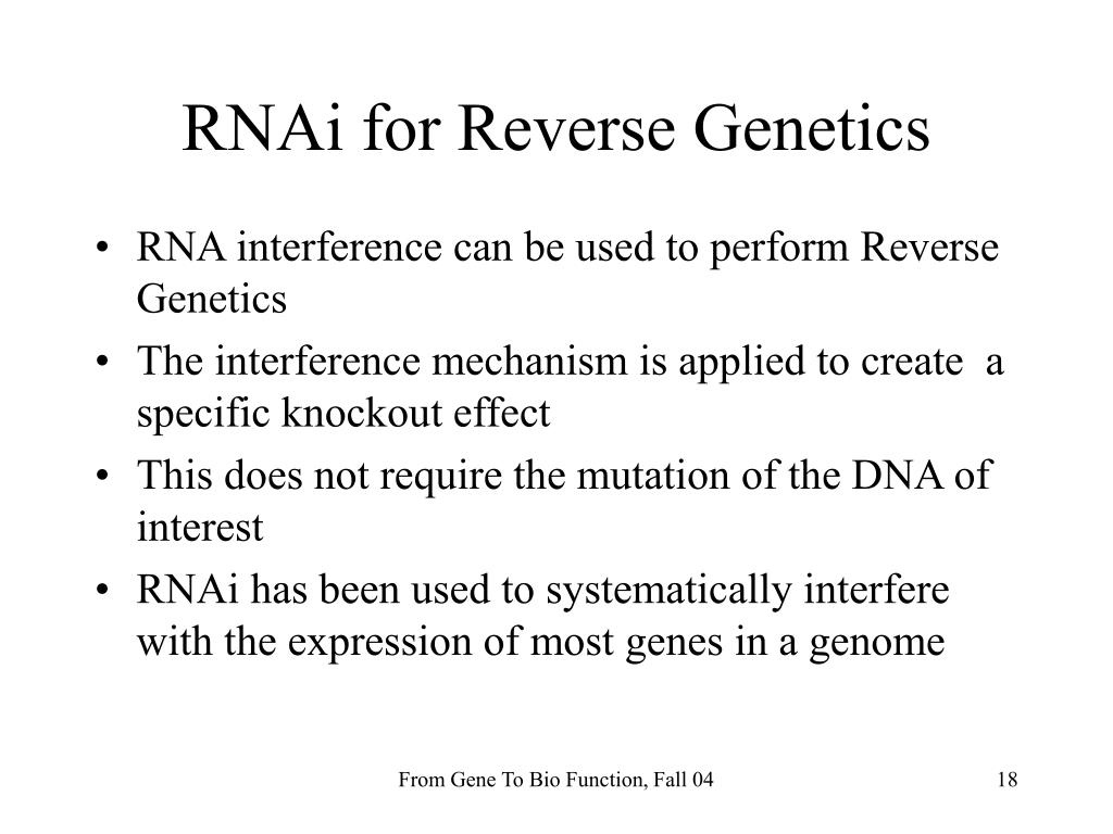 PPT - RNA Interference PowerPoint Presentation, free download - ID:6333622