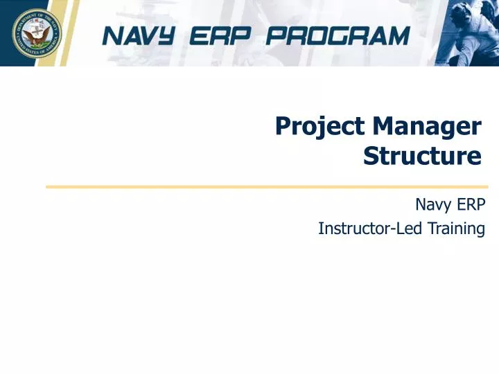project manager structure n.