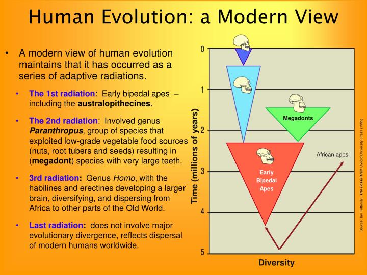 pdf cladistic biogeography interpreting