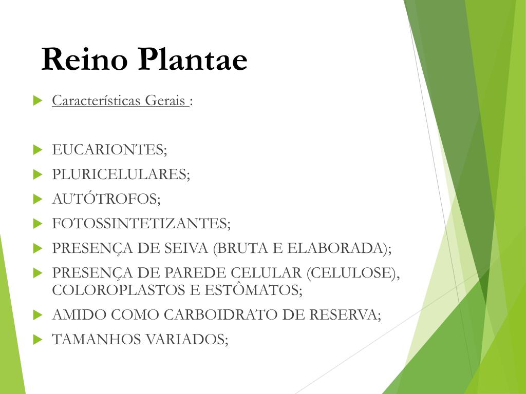 PPT - Reino Plantae Professora: Vanesca 7º ano Ciências 2014 PowerPoint  Presentation - ID:6336777, image size:1024x768