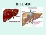 PPT - Chapter 5 Care of the Patient with a Gastrointestinal Disorder ...