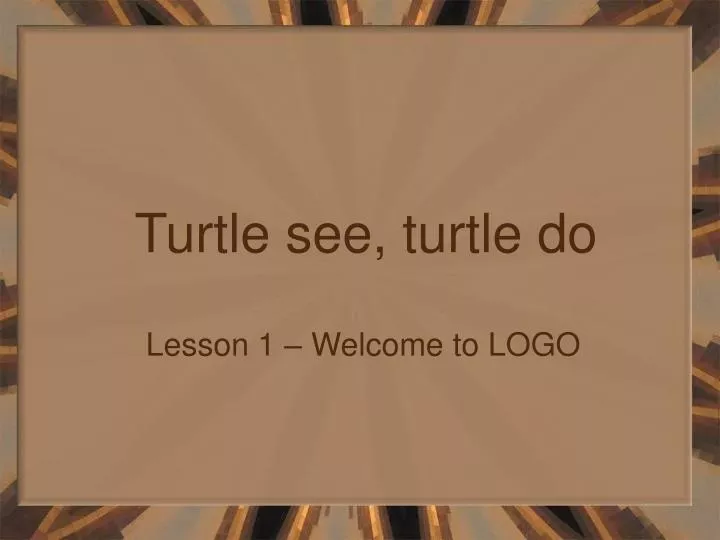 turtle see turtle do n.