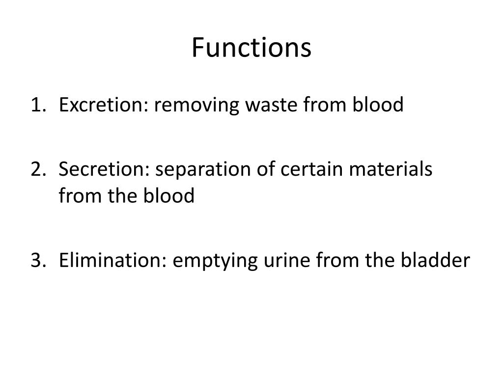 Ppt Urinary System Powerpoint Presentation Free Download Id6343165 8386