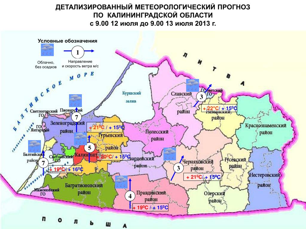 Муниципальные учреждения калининград. Калининград на карте граничит. Калининградская область на карте. Карта Калининградской области с районами. Карта Калининградской области по районам.