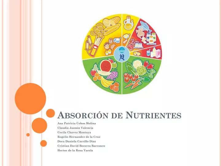 PPT - Absorción De Nutrientes PowerPoint Presentation, Free Download ...