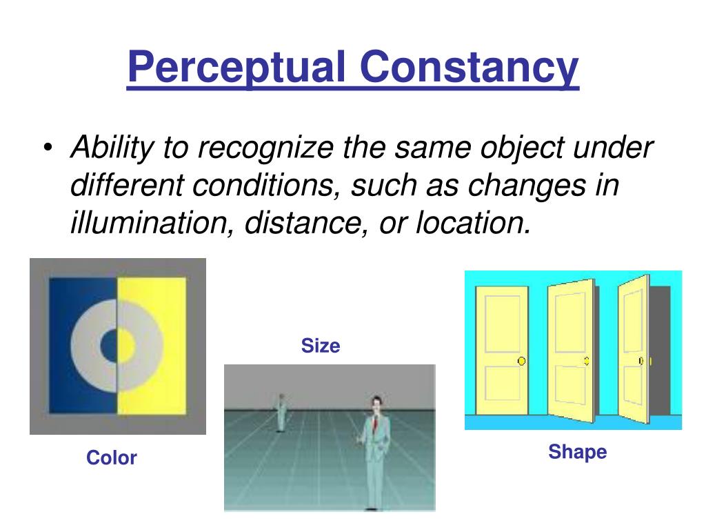 constancy hypothesis in psychology