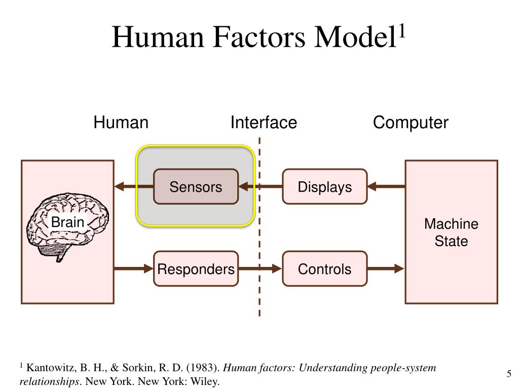 Ppt Chapter 2 The Human Factor Powerpoint Presentation Free Download Id 6345665