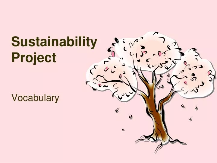 sustainability project n.