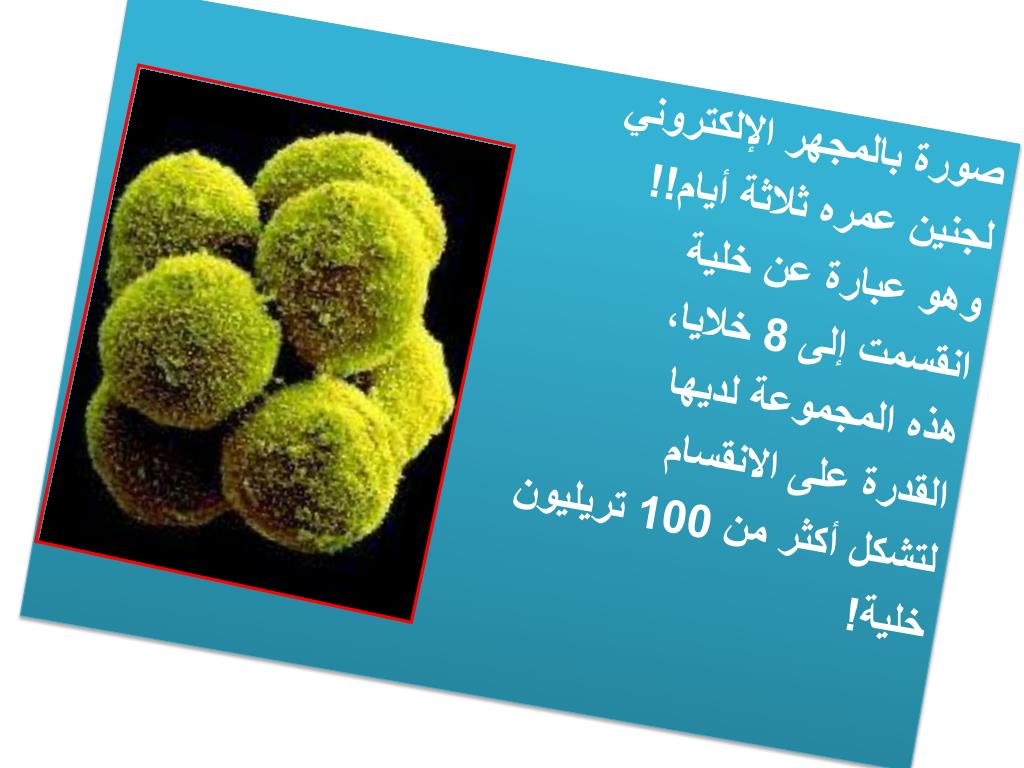 هذا خلق الله Slide10-l