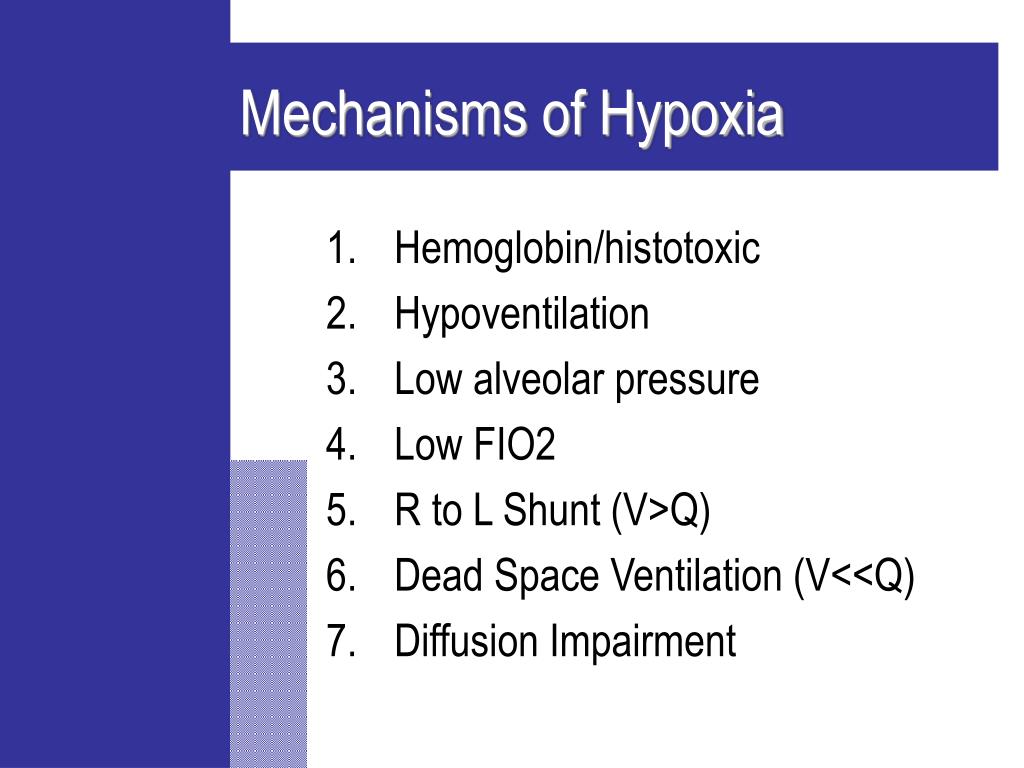 Ppt Evaluating The Hypoxic Patient Powerpoint Presentation Free Download Id 6349490