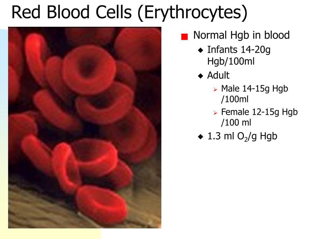 PPT - Chapter 19 - Blood PowerPoint Presentation, free download - ID ...