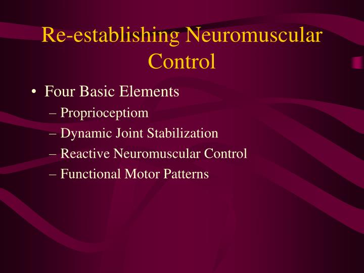 PPT - Proprioception/Neuromuscular Control PowerPoint Presentation - ID ...