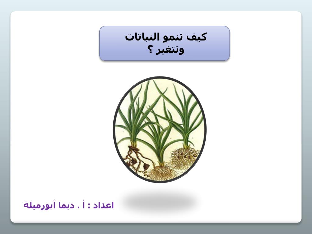 Ppt كيف تنمو النباتات وتتغير Powerpoint Presentation Id 6350728