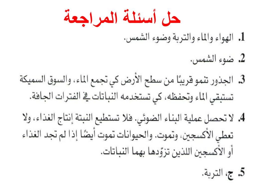 Ppt ماحاجات النباتات Powerpoint Presentation Free Download Id 6351177