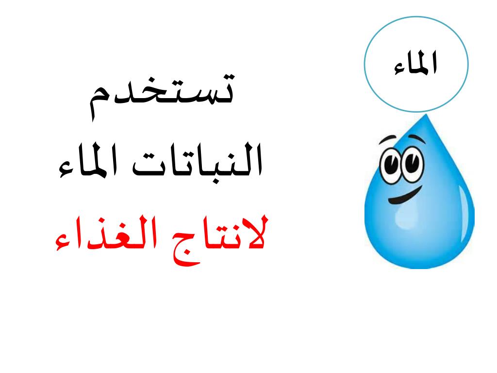 Ppt ماحاجات النباتات Powerpoint Presentation Free Download Id 6351177
