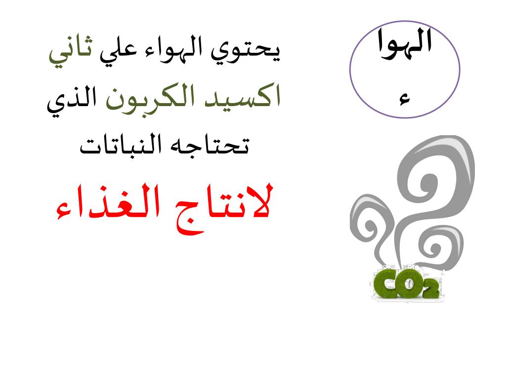Ppt ماحاجات النباتات Powerpoint Presentation Free Download Id 6351177