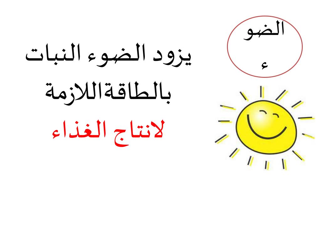 Ppt ماحاجات النباتات Powerpoint Presentation Free Download Id 6351177