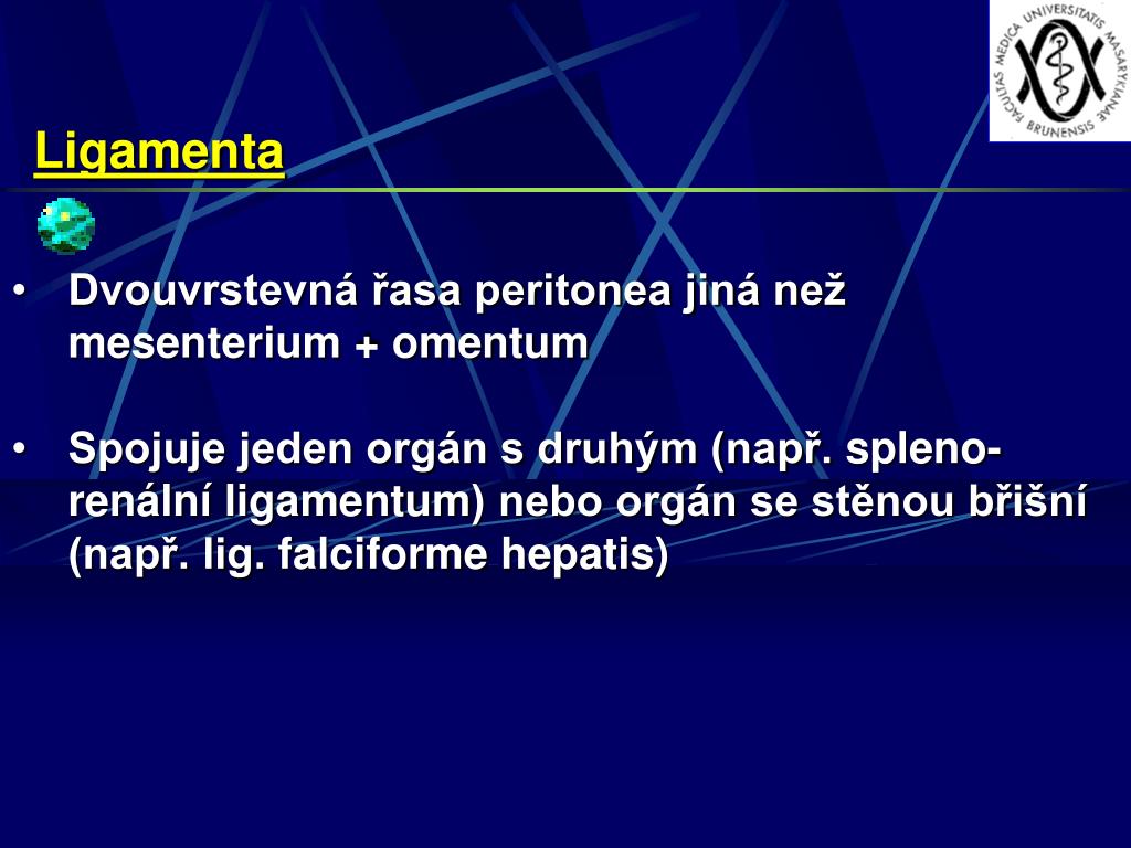 PPT - Mesenterium a peritoneum PowerPoint Presentation, free download -  ID:6351229