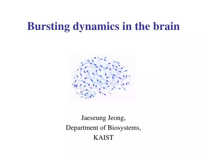 bursting dynamics in the brain n.