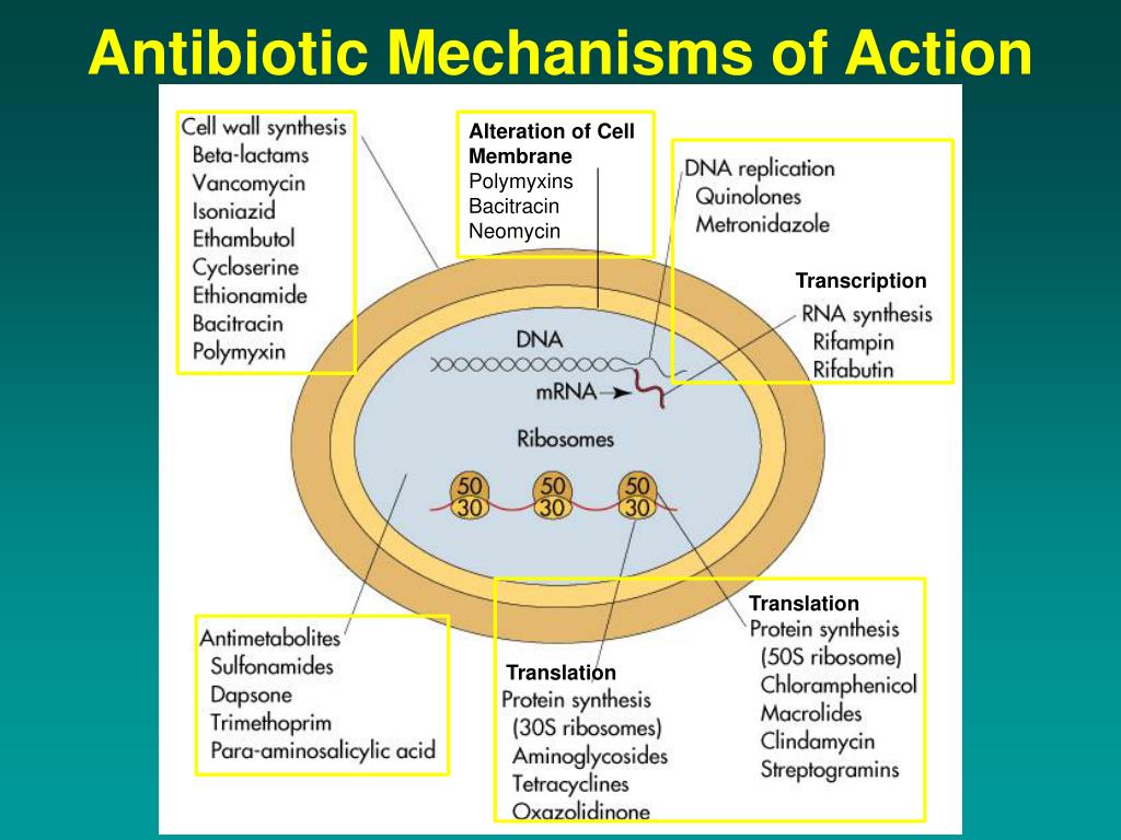 Antibiotics Classification According To Mechanism Of - vrogue.co