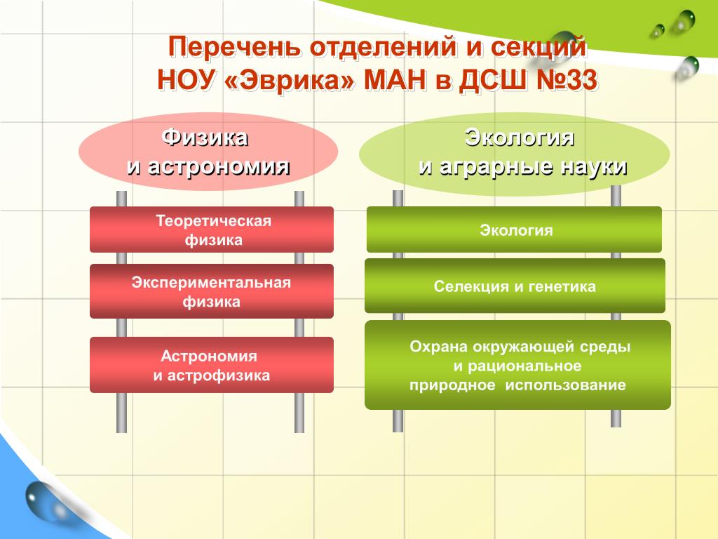 Список отделений. Перечень отделений. Теоретическая и практическая физика. Перечень филиалов. Результативность работы секций научного общества учащихся.