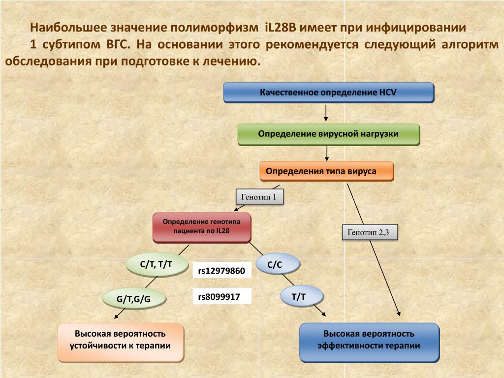 Технология работы с различными группами населения