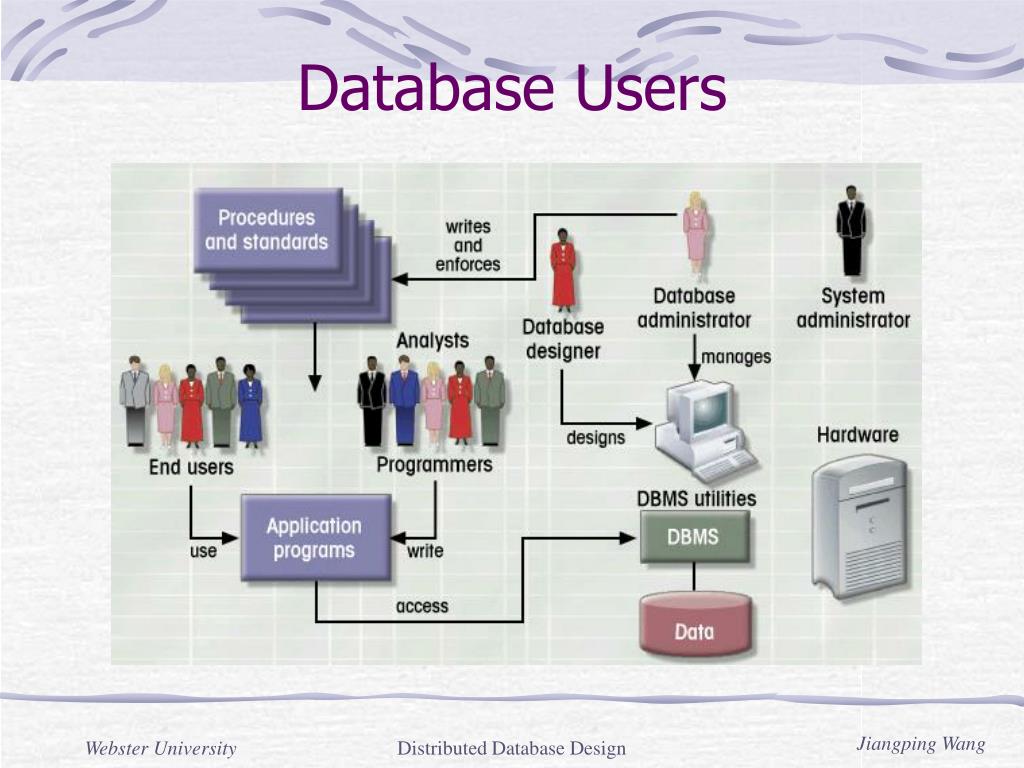 User authorities. Database Systems презентация. Система базы данных. Базы данных DBMS. Система управления базами данных.