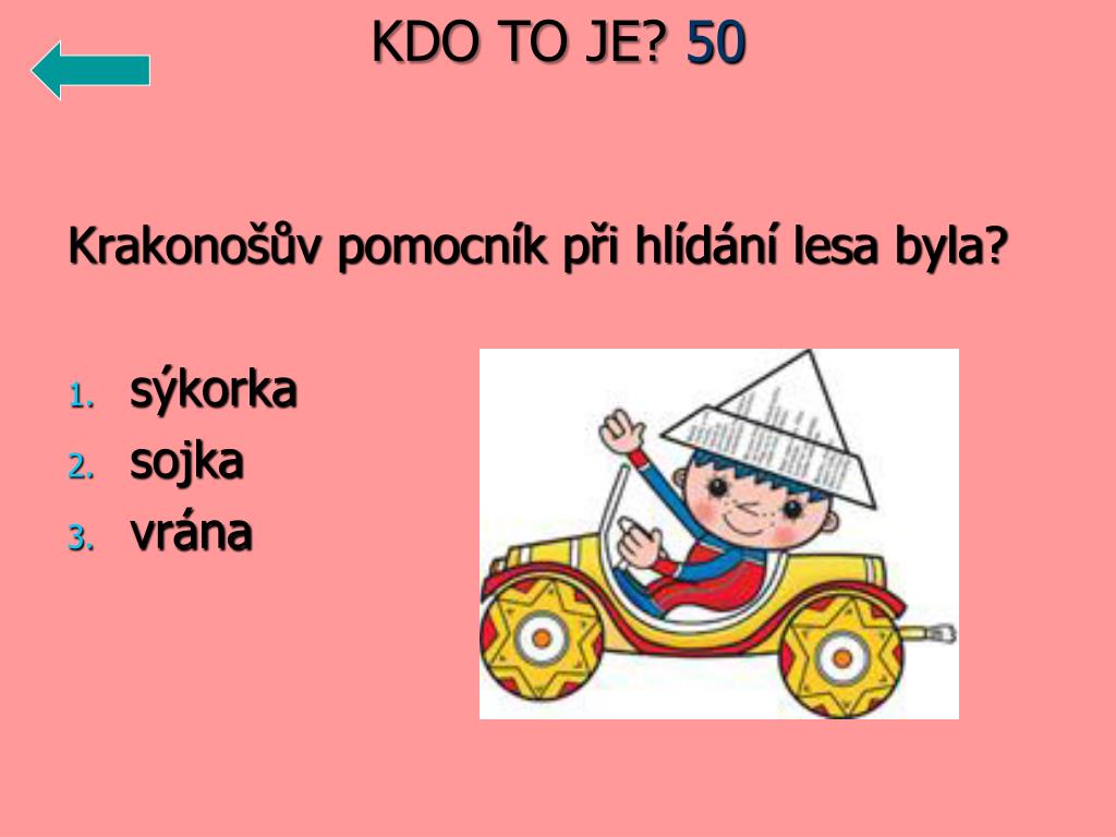 Bi sýkorka