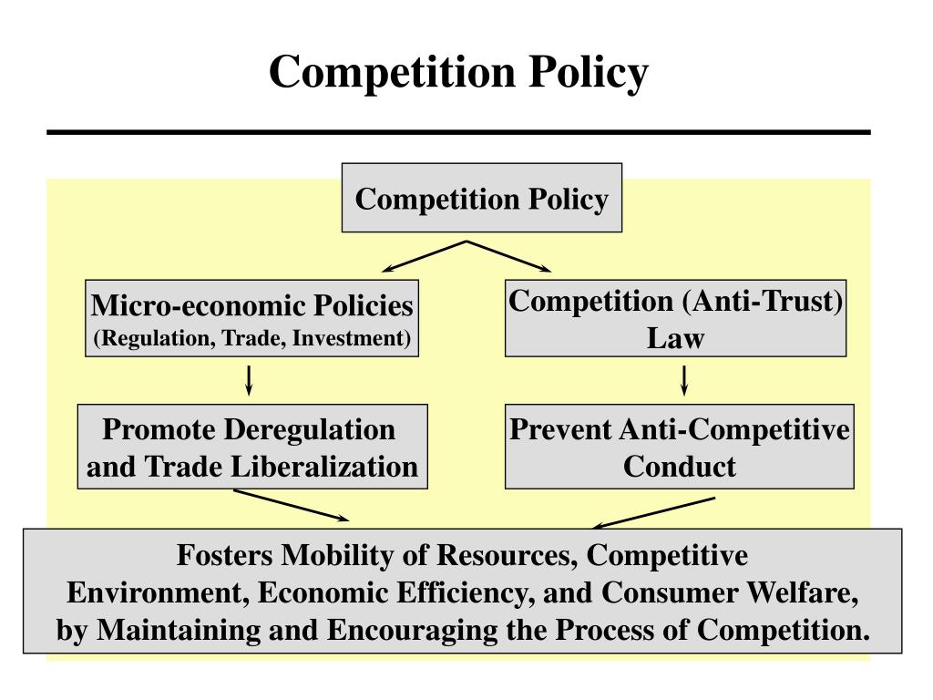 dissertation on competition policy