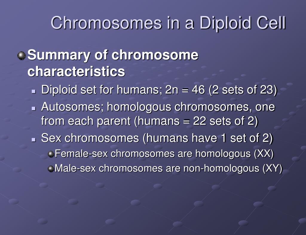 PPT - Meiosis and Sexual Life Cycles PowerPoint Presentation, free ...