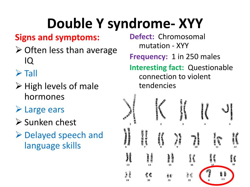 Ppt Karyotype And Chromosomal Mutation Notes Powerpoint Presentation Id 6359809