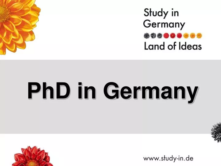 phd project management germany
