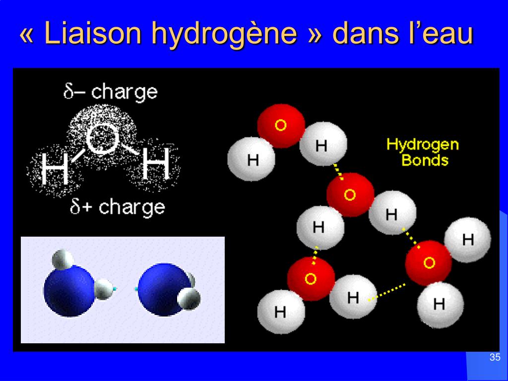 PPT - Les interactions moléculaires PowerPoint Presentation, free ...