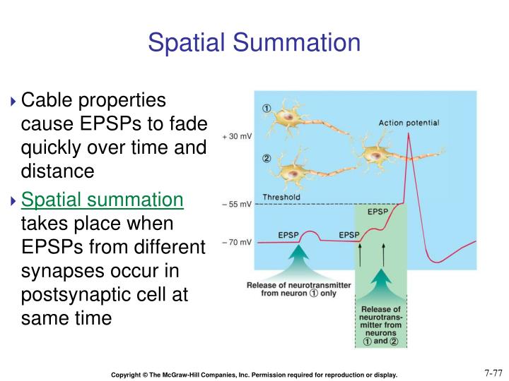 PPT Chapter 7 PowerPoint Presentation ID 6368472 PPT Chapter 7 PowerPoint Presentation ID 6368472