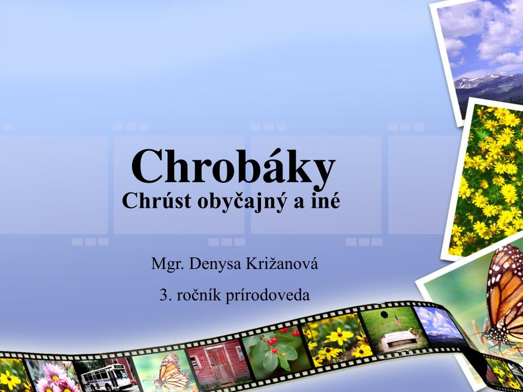 PPT - Chrobáky PowerPoint Presentation, free download - ID:6368776