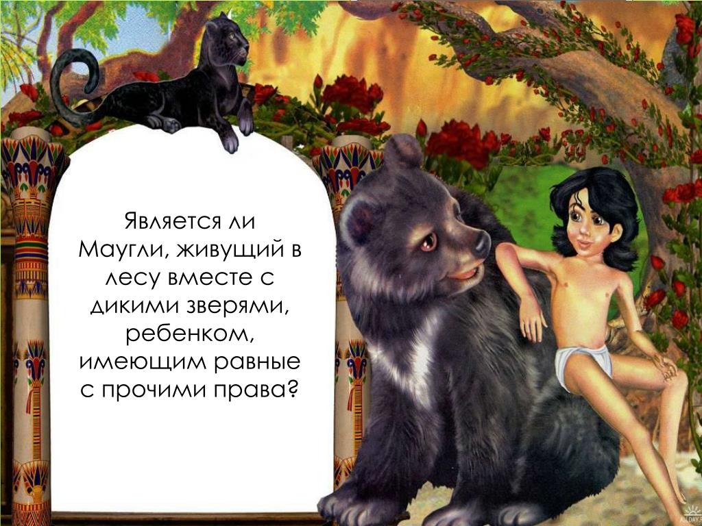 Маша в течение недели прочитала книгу маугли. Маугли обложка книги. Маугли для презентации. Маугли иллюстрации к книге. Является ли Маугли живущий в лесу.