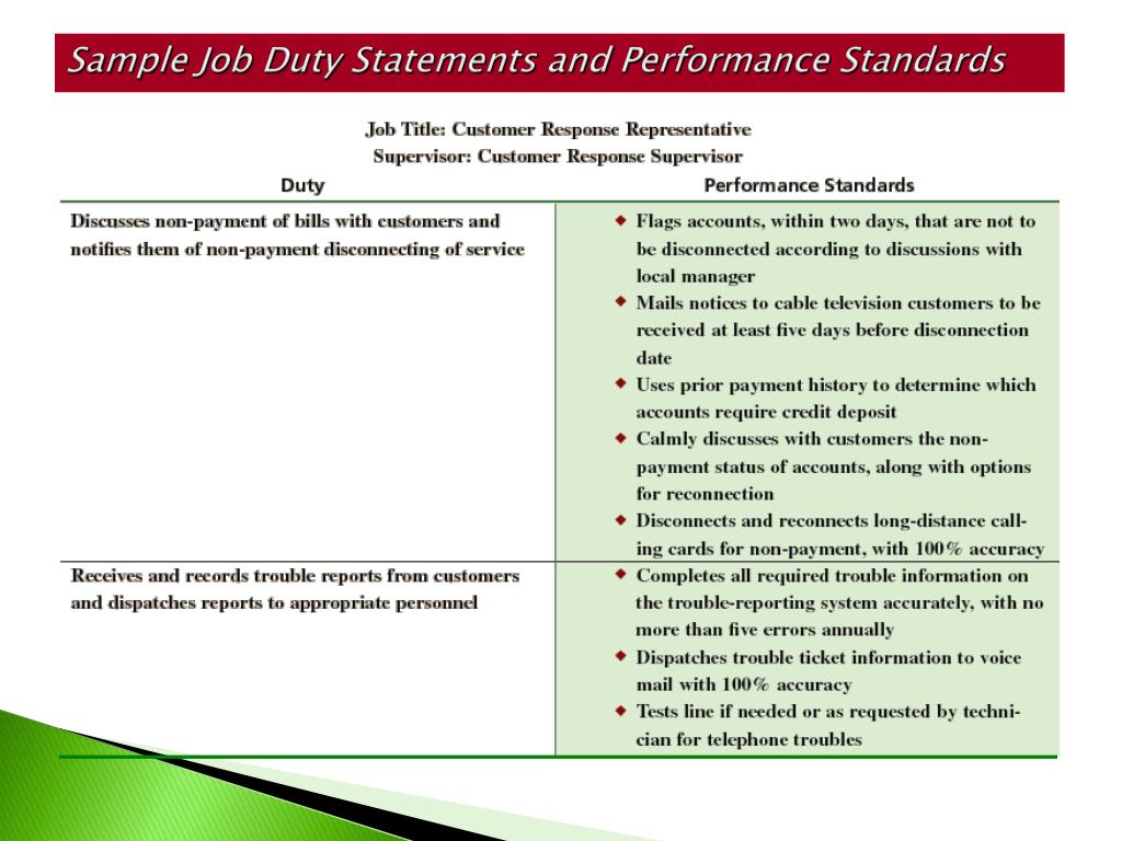 What is a job performance standard