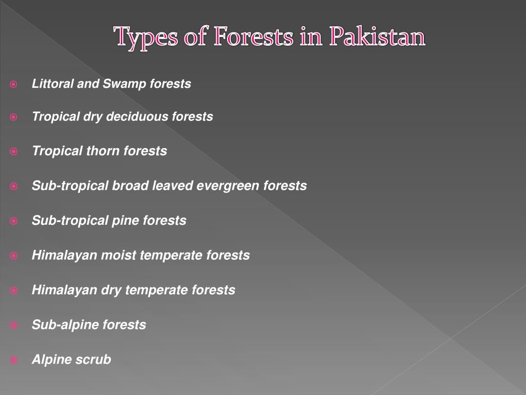 PPT - Forests of Pakistan PowerPoint Presentation, free download - ID ...