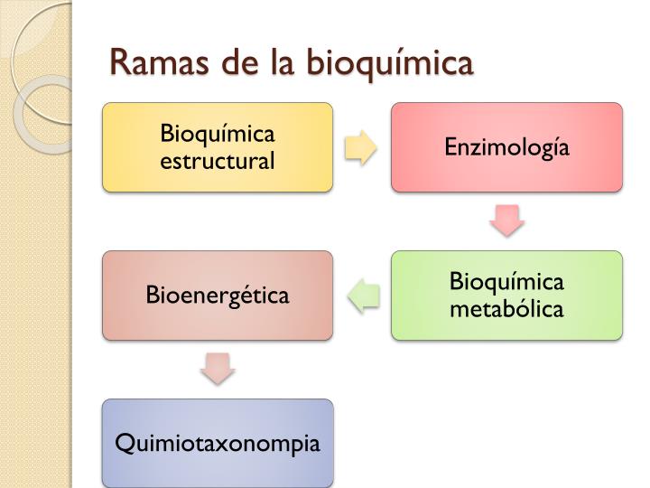 PPT - Historia de la bioquímica PowerPoint Presentation - ID:6374561