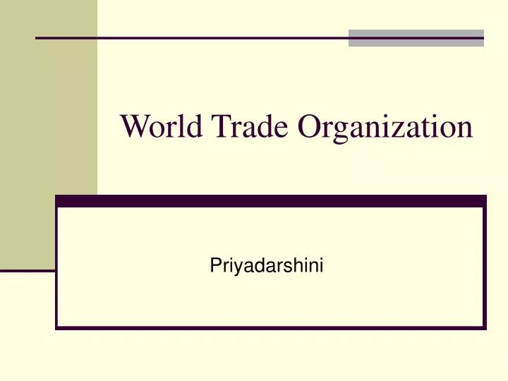 world trade organization n.