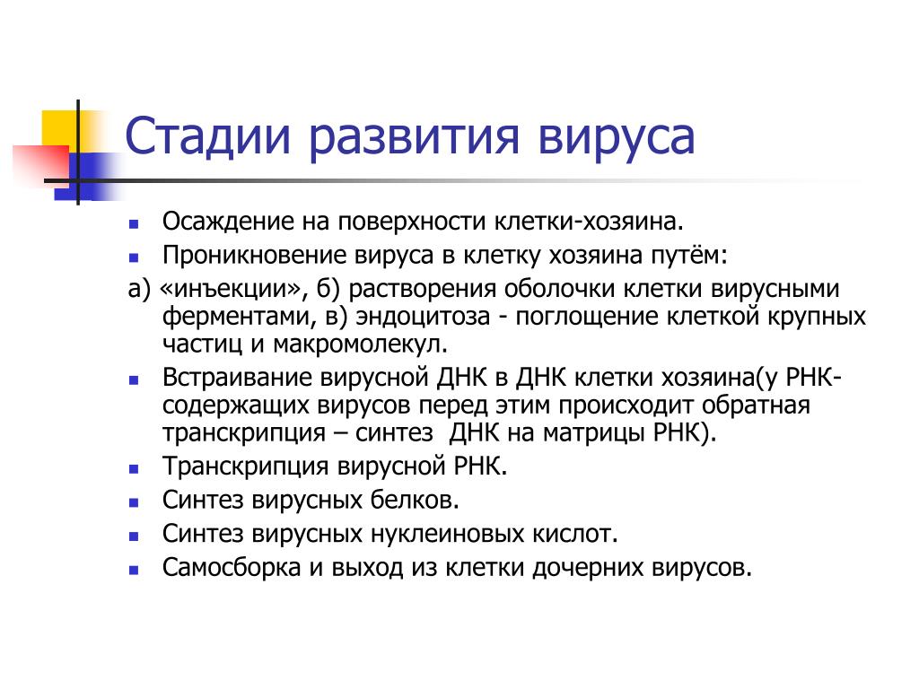 Рост и развитие вирусов. Стадии развития вируса. Этапы проникновения вируса в клетку. Стадии проникновения вируса в клетку. Этапы проникновения вируса в клетку хозяина.