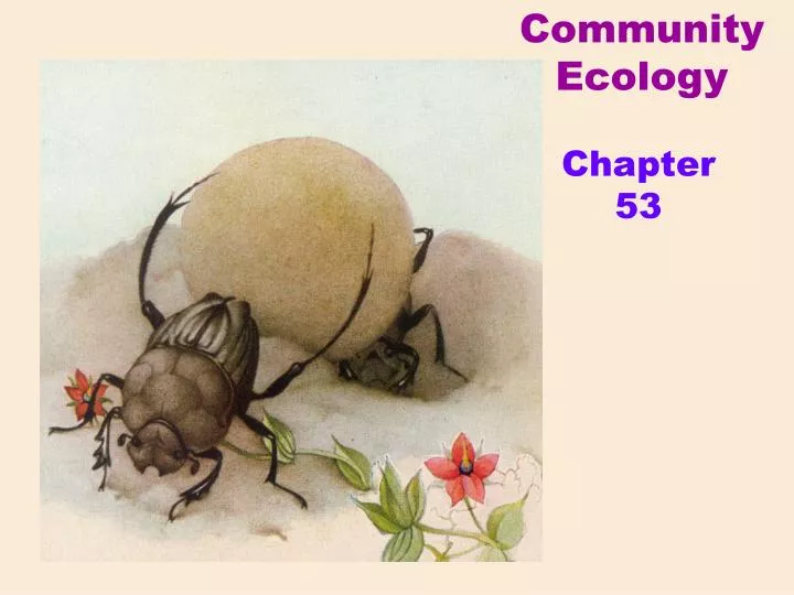 community ecology n.