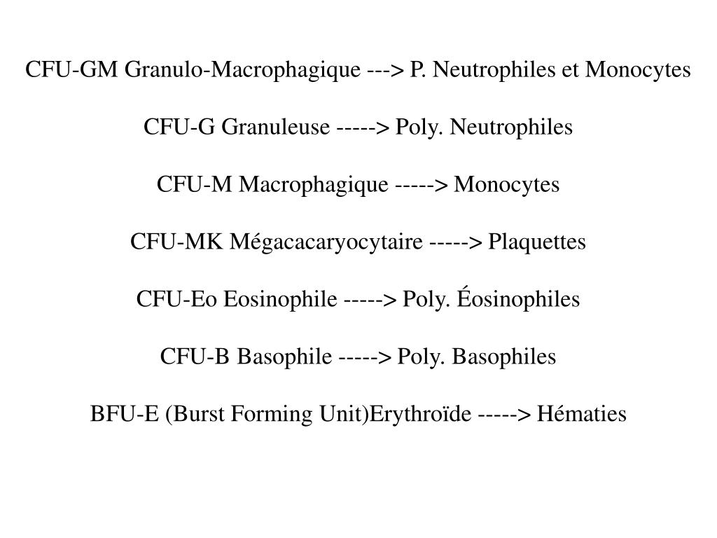 PPT - CFU-GM Granulo-Macrophagique ---> P. Neutrophiles et ...