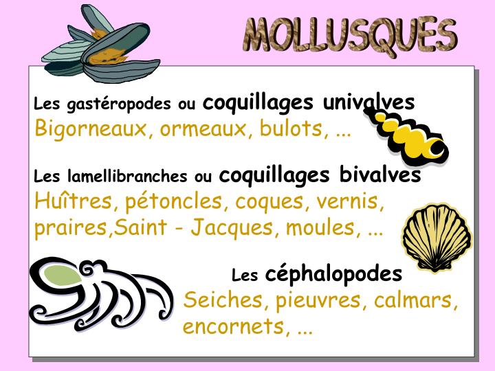 PPT - COQUILLAGES, MOLLUSQUES et CRUSTACES PowerPoint Presentation - ID ...