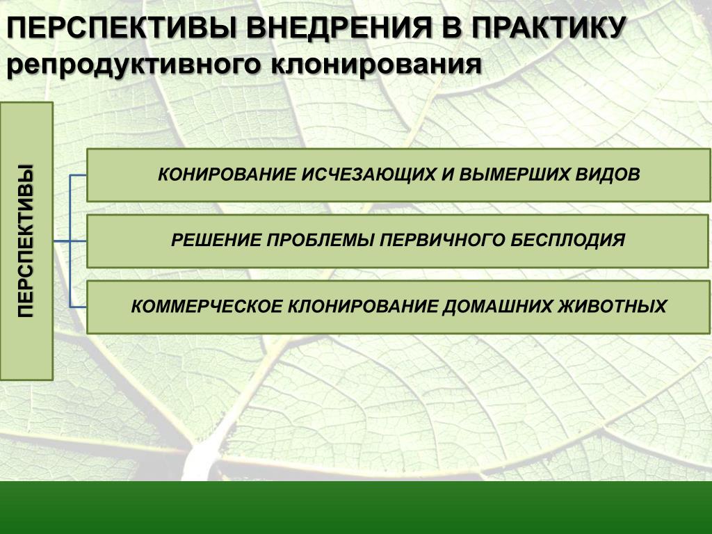 Клонирование животных проблемы и перспективы проект