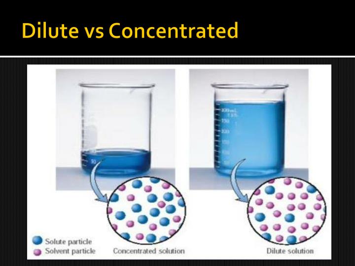 PPT Biology EOCT Test A year in review PowerPoint Presentation ID6376534