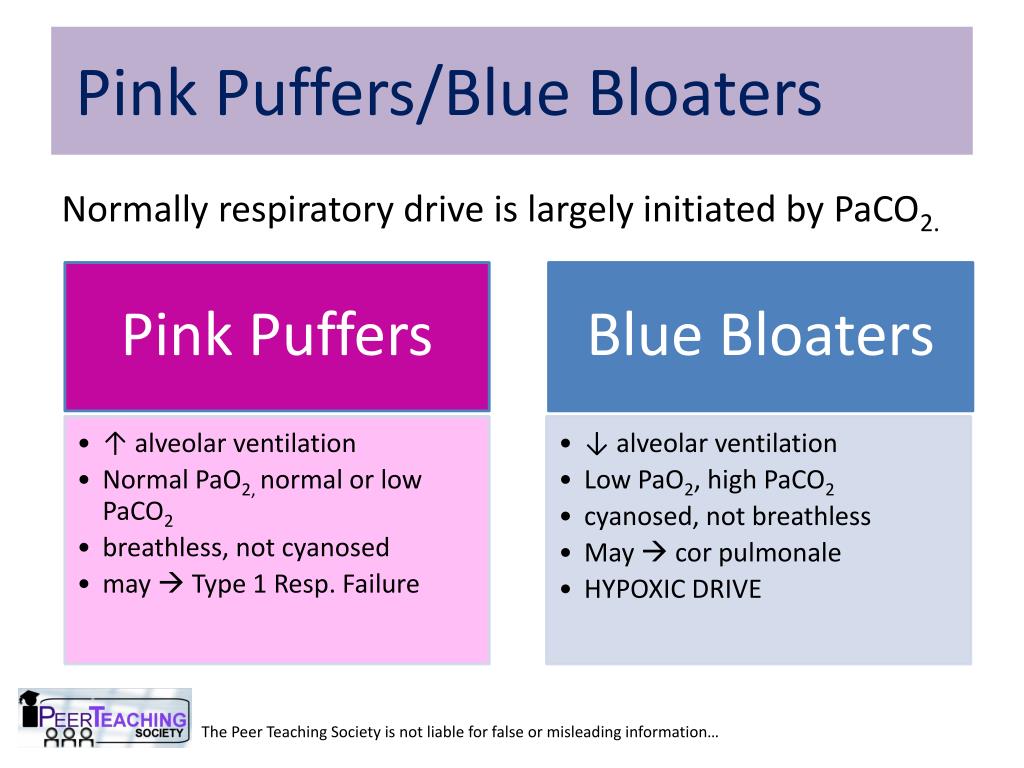 الإثنين التجريد احسب difference between blue bloaters and pink puffers -  kulturazitiste.org
